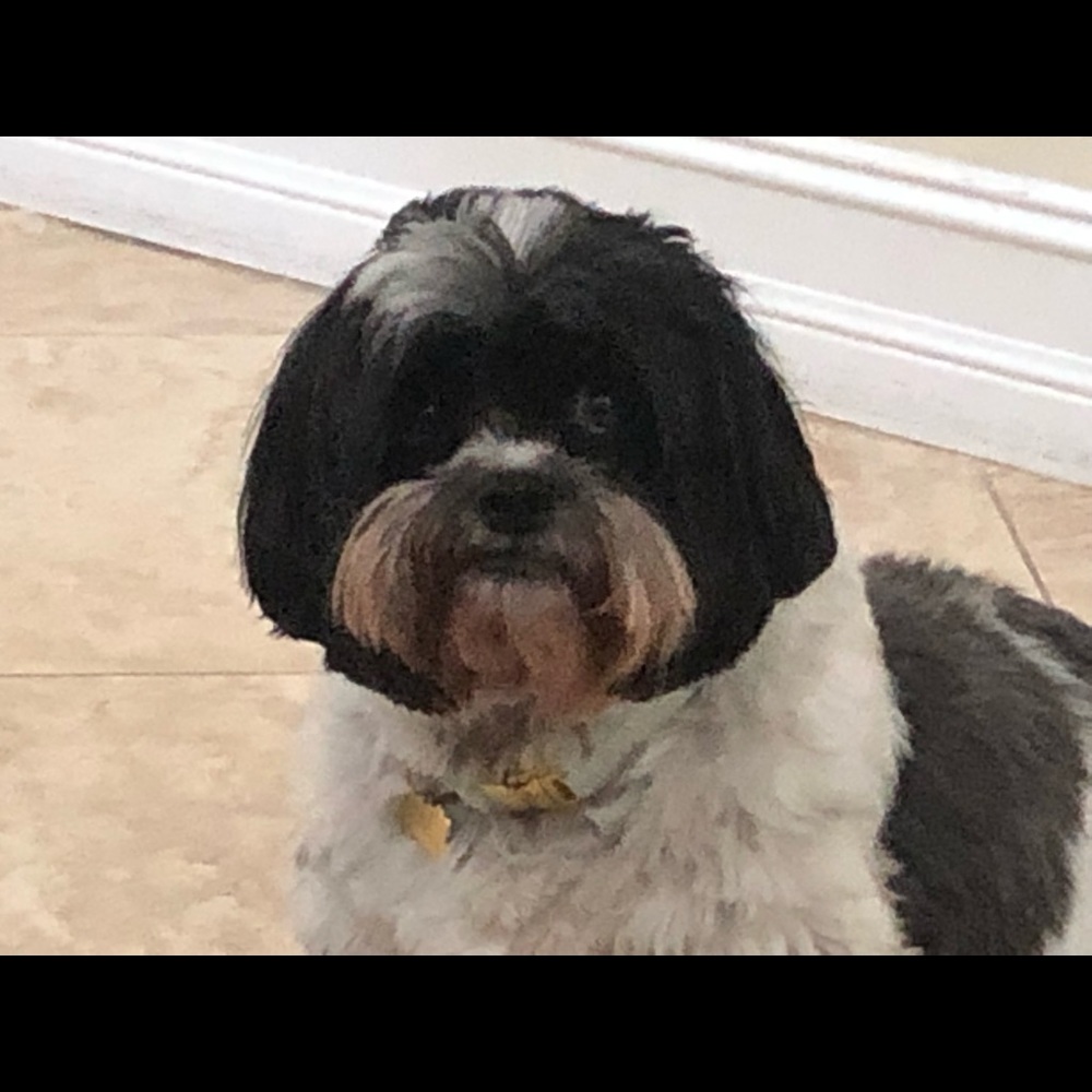 Meet your Posher, Estee